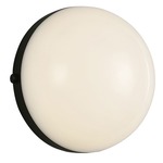 Globo Wall Sconce / Ceiling Flush Light - Matte Black / Frosted