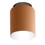 Aspen C17 Ceiling Light - Black / Mango