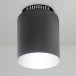 Aspen C17 Ceiling Light - Black / Grey