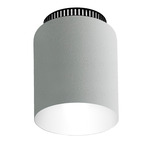 Aspen C17 Ceiling Light - Black / Snow