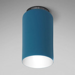 Aspen C17 Ceiling Light - Black / Aqua