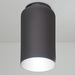 Aspen C17 Ceiling Light - Black / Grey