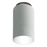 Aspen C17 Ceiling Light - Black / Snow