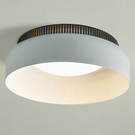 Aspen C40 Ceiling Light - Black / Snow