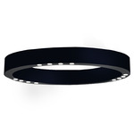 R2 Ceiling Light Fixture - Matte Black