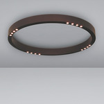 R2 Ceiling Light Fixture - Matte Bronze