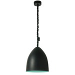 Matt Flower S Lavagna Pendant - Black Chalkboard / Turquoise