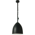 Matt Flower S Lavagna Pendant - Black Chalkboard / Silver