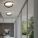 Real Wall / Ceiling Light - Brown / White