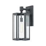 Bianca Outdoor Wall Sconce - Aged Zinc / Clear