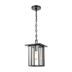 Radnor Outdoor Pendant - Matte Black / Clear Seeded