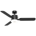 Paume Outdoor Ceiling Fan with Light - Matte Black / White