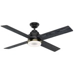 Daphne Ceiling Fan with Light - Matte Black