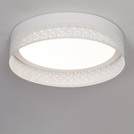 Ash Ceiling Light Fixture - White / White