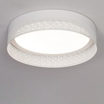 Ash Ceiling Light - White / White