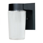 Outdoor Porch Light - Black / Clear