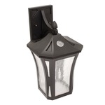Stratford Outdoor Wall Light with Photocell - Black / Clear
