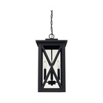 Avondale Outdoor Pendant - Black / Clear