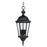 Carriage House Outdoor Pendant - Black / Clear