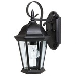 Carriage House Outdoor 1 Light Wall Sconce - Black / Clear