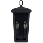 Donnelly Outdoor Wall Sconce - Black / Clear