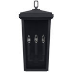 Donnelly Outdoor Wall Sconce  - Black / Clear