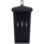 Donnelly Outdoor Wall Sconce - Black / Clear