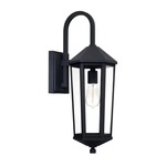 Ellsworth Outdoor Wall Light - Black / Clear