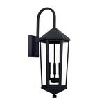 Ellsworth Outdoor Wall Light - Black / Clear