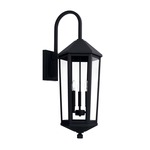 Ellsworth Outdoor Wall Light - Black / Clear