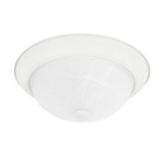 Homeplace Ceiling Light With White Faux Alabaster Glass - Matte White / White Faux Alabaster