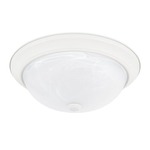 Homeplace Ceiling Light With White Faux Alabaster Glass - Matte White / White Faux Alabaster