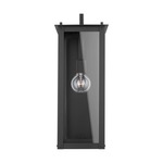 Hunt Outdoor Wall Light - Black / Clear