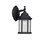 Main Street Outdoor Wall Light - Black / Clear Seeded