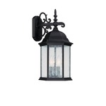 Main Street Outdoor Wall Lantern - Black / Clear Seeded