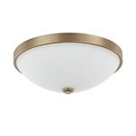 13 Inch Ceiling Light - Aged Brass