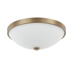 13 Inch Ceiling Light - Aged Brass