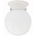 Globe Flush Ceiling Light Fixture - White / White
