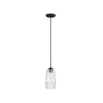 Signature 1 Light Pendant - Black Iron / Clear