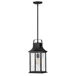 Grant Outdoor Pendant - Textured Black / Clear Seedy