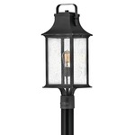 Grant 120V Outdoor Pier / Post Mount - Textured Black / Clear Seedy
