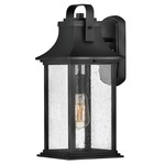 Grant Outdoor Wall Sconce - Textured Black / Clear Seedy