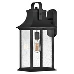 Grant Outdoor Wall Sconce - Textured Black / Clear Seedy