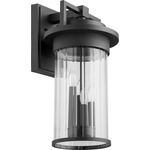 Dimas Outdoor Wall Sconce - Noir / Clear