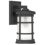 Composite Band Outdoor Wall Sconce - Textured Matte Black / Frosted