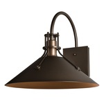 Henry Dark Sky Friendly Outdoor Wall Sconce - Coastal Bronze