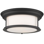 Sonna Matte Opal Ceiling Light Fixture - Matte Black / Matte Opal