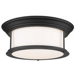 Sonna Matte Opal Ceiling Light Fixture - Matte Black / Matte Opal