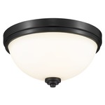 Ashton Ceiling Light - Matte Black / Matte Opal