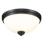 Ashton Ceiling Light - Matte Black / Matte Opal